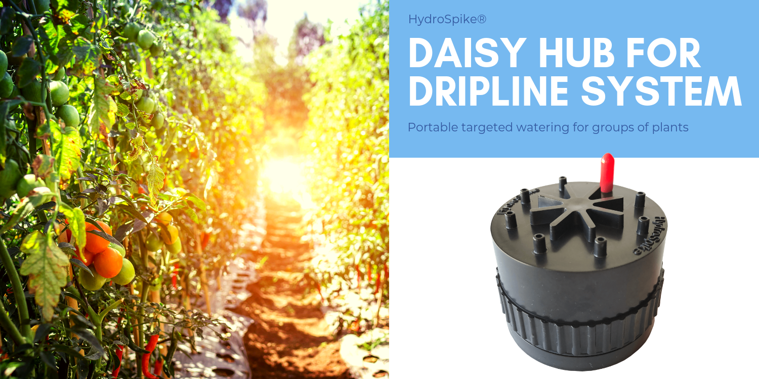 HydroSpike® Daisy Hub HydroSpike®